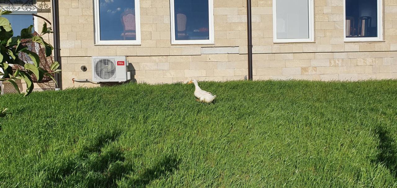 Apartmani Bojeresku Negotin Exteriér fotografie