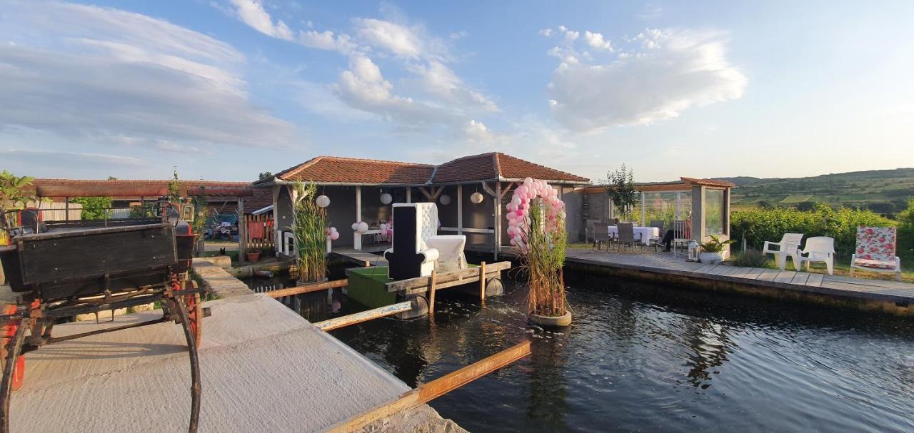 Apartmani Bojeresku Negotin Exteriér fotografie