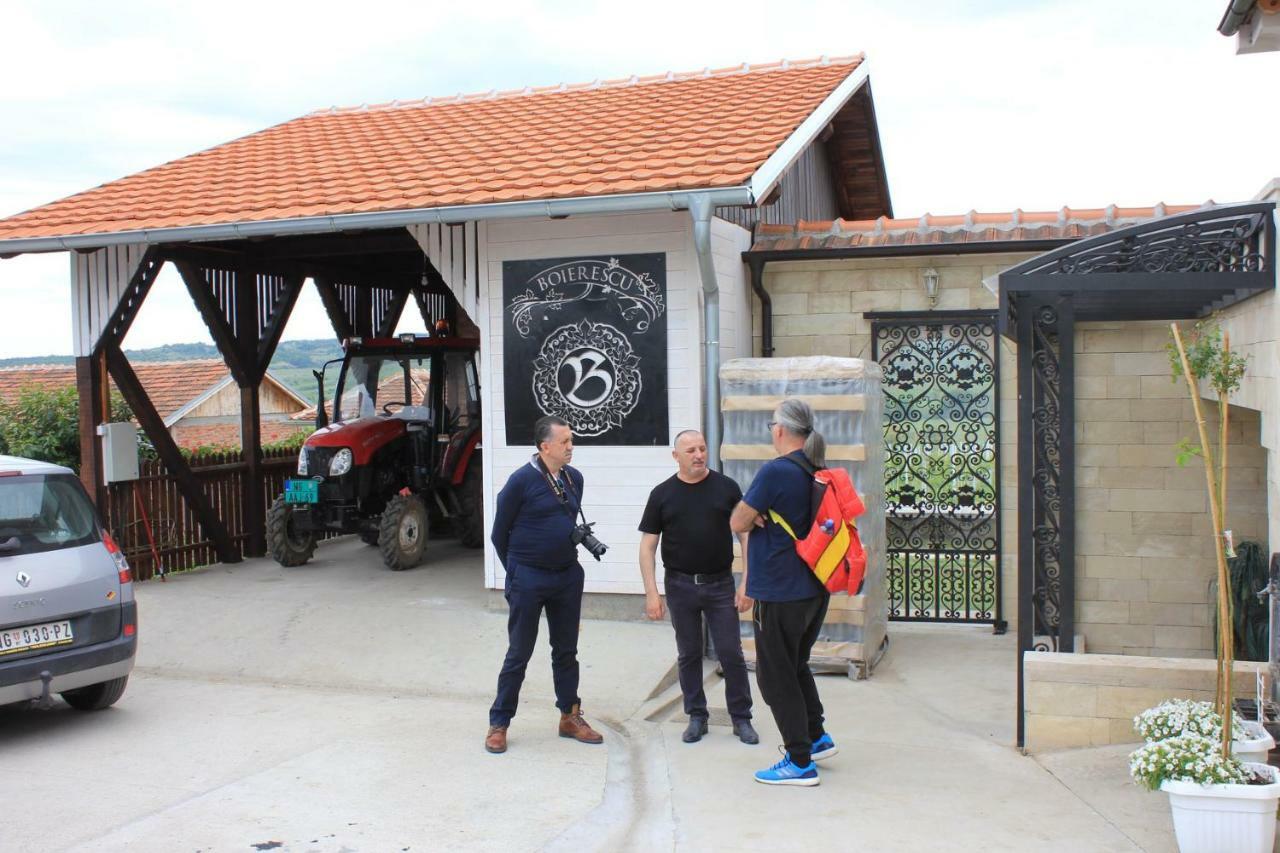 Apartmani Bojeresku Negotin Exteriér fotografie